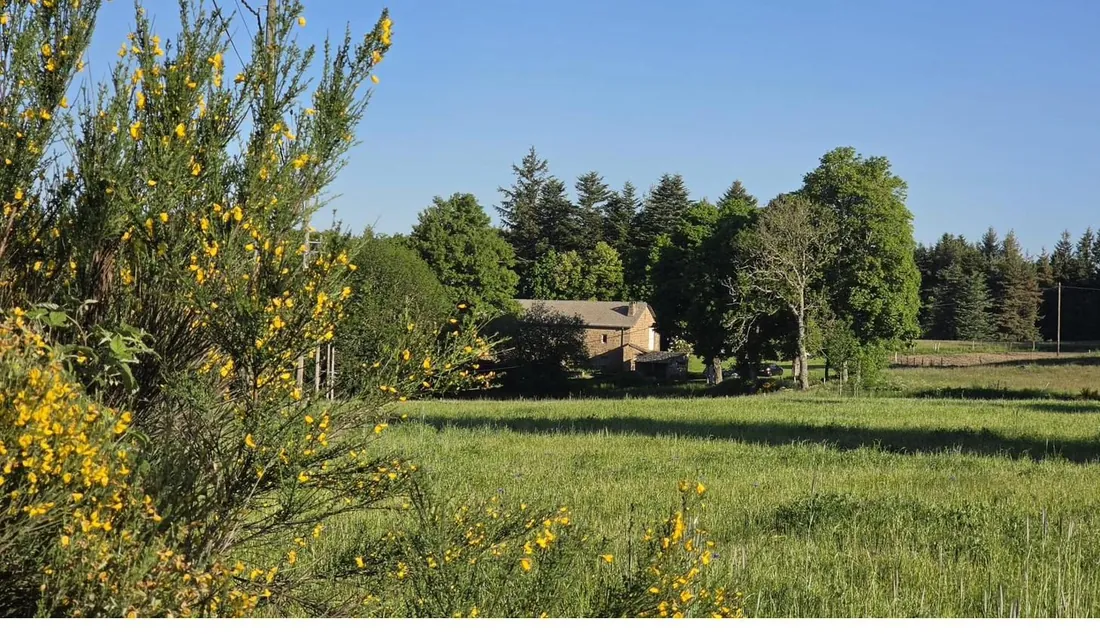 La bâtisse depuis la prairie aux genêts
